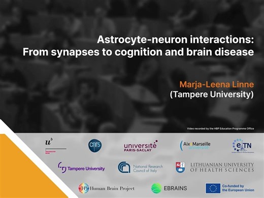 Astrocyte-neuron interactions From synapses to cognition and brain disease