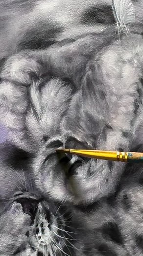 1.6K views · 23 reactions | ✨ @dewiplass’ show, “Comfort Zone” is...