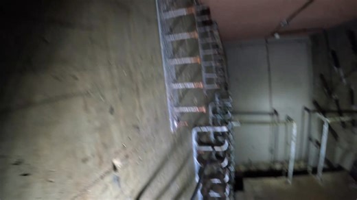 9.7K views · 151 reactions | I really enjoyed looking around this...