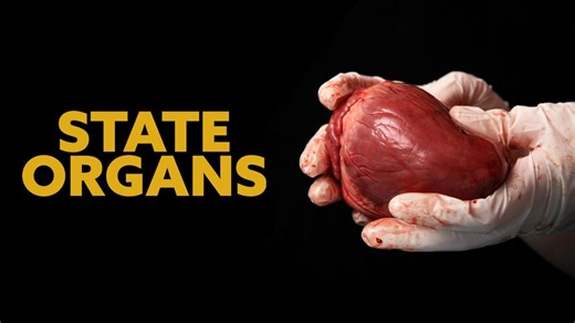 State Organs (2024)