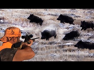 SNIPER BEST 30 SHOTS! AMAZING scenes of wild boar hunting