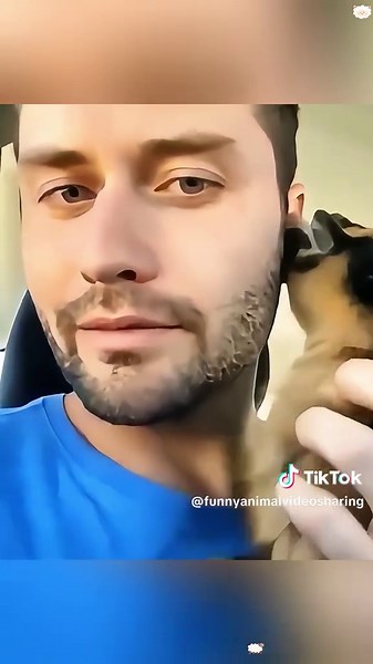 Funniest goats 🐐😂🤣#haha #funnyvideos #fypシ #funnygoat #omg #goat #goatsoftiktok