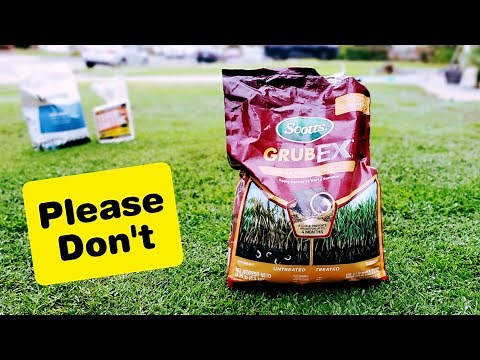 SKIP GrubEx - It's A Waste Of Time & Money (Usually)