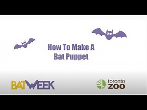 Bat Week 2021: How To Make A Bat Puppet