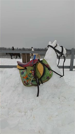 О технике безопасности.🦺 #horse #лошади #equestrian #тренировка #спорт