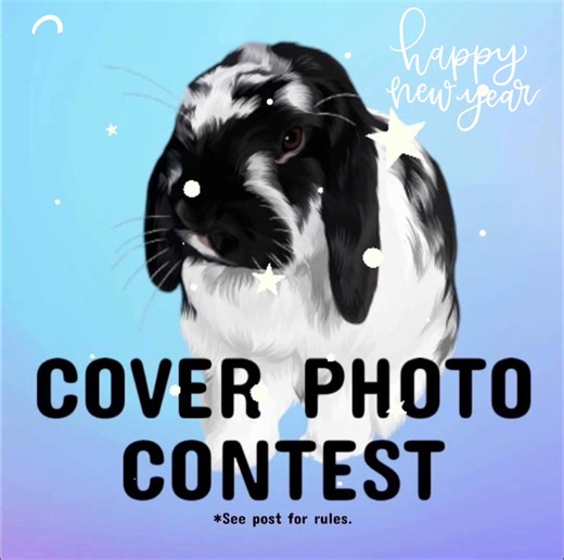 January 2026 Cover Photo Contest! 📸🐇🗓️ Post a cute photo of your bunny to be entered into our group contest. Contest ends December 31, 2025. Winner will be announced the following day. Please read the Rules: 1) Photo must be of your bunny & include the bunnies name in the comments. Landscape/horizontal photos work best for cover photos. 2) One photo per bunny, multiple pets allowed. 3) Posting a photo entry gives us permission to use your photo as our group cover photo for the month. *Only po