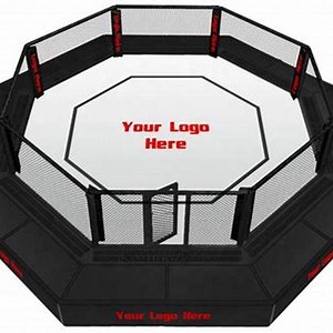[Hot Item] Cheap International Standard Boxing Ring MMA Cage with Catwalk Around It Wrestling Cage Exported
