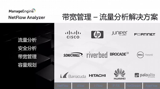 Netflow Analyzer基本使用相关介绍