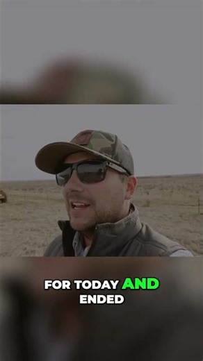 Epic Pheasant Hunt: 100+ Birds & Awesome Dogwork! #shorts