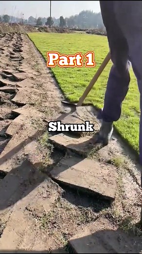 My crazy husband demanded I take a paternity test because his manhood shrunk when my son asked me a question instead of him, so I'm planning to shrink it even more with some divorce papers.#reddit #redditstories #shortstory #redditstorytimes #foryou