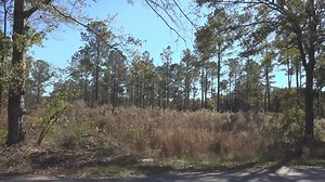 New housing development set to bring 400 homes to Orangeburg County