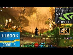 Guild Wars 2: 4K Settings | RTX 3060Ti + 11600k