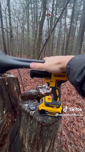 Impact Dual Train Horn for Sporting Events and Celebrations