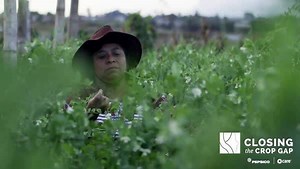 49 reactions | Empowering women farmers is one key to creating a more sustainable food system. Meet five incredible women: Eman, Sam, Sunita, Bozena and Maria who are using their voices to shed light on the barriers female farmers face in agriculture. https://pepsi.co/thecropgap | PepsiCo | Facebook