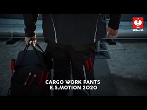 STRAUSS e.s.motion 2020 Work Pants — The Tool You Wear