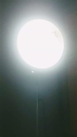 think fast chuckle nuts