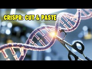 CRISPR Gene Editing Explained: Cure for Disease or Dangerous Experiment?