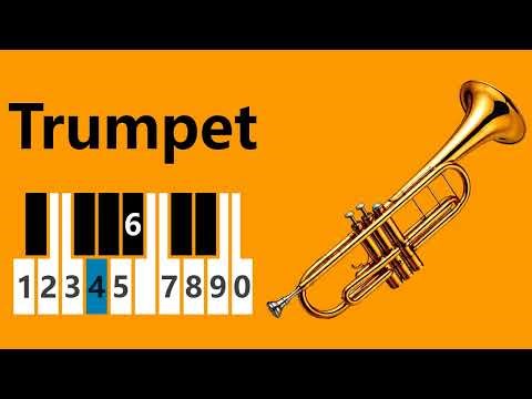 Youtube Trumpet in D minor🎵