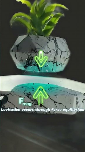 Why this plant floats in mid-air | Magnetic Levitating Pot Explained