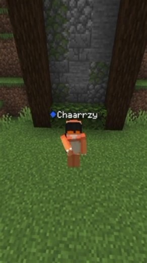 Join the Exciting Twist SMP for Minecraft