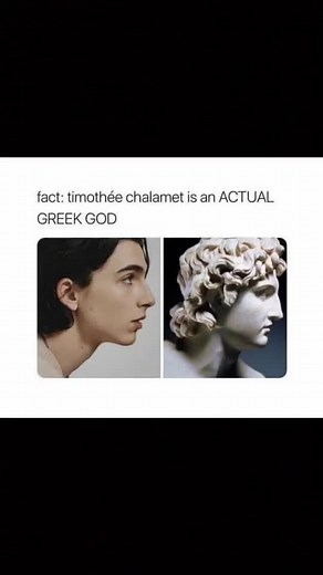 Exploring Timothee Chalamet's Transformation into a Greek God