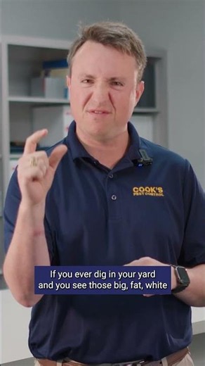 Pest of the Month - June Bug
