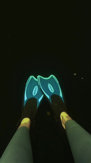 Fairytale Snorkeling Adventure in a Lake Forest