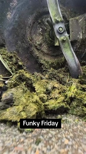 It's Funky Friday. Time for the weekend. #charenteassistance #charente #france #funkyfriday