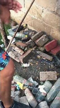 He invaded our house