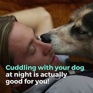 As if we needed another reason to cuddle our furry friends 🐶 | Mamamia