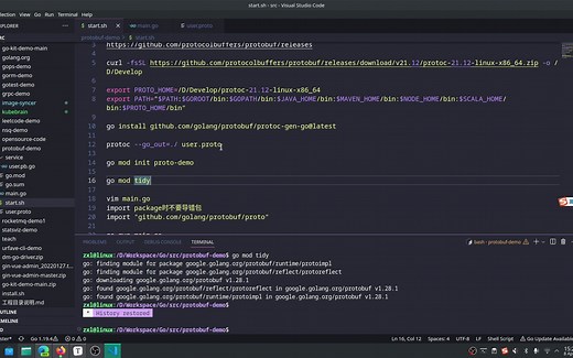 【Go教程】Go安装及使用protobuf