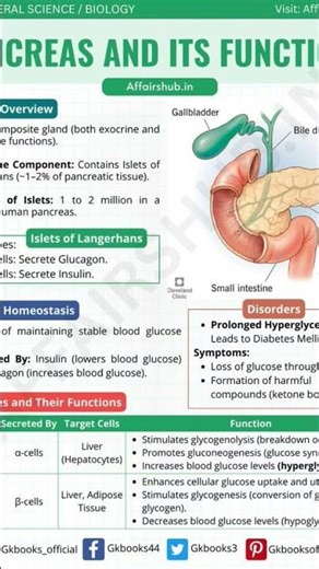 pancreas and it's function