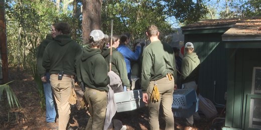 See how the staff at the Santa Fe College Teaching Zoo prepares to keep their animals safe from the cold