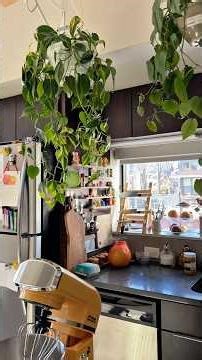 Kitchen Maintenance Day (restocking, oiling, organizing) 🔪👩‍🍳⏲️