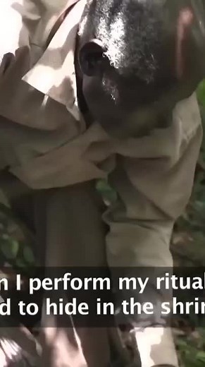 Saving Kakamega - Kenya's Only Rainforest ｜ Giving Nature A Voice ｜ Free Documentary Nature-020