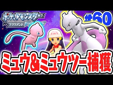 幻のミュウと伝説のミュウツーをゲットせよ!!ハマナスパーク完全攻略!!ダイパリメイク実況Part60【ポケットモンスター ブリリアントダイヤモンド・シャイニングパール】