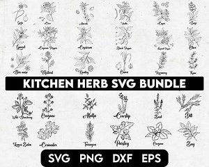 Kitchen Herb Svg Bundle, Kitchen Svg, Herb Svg, Farmhouse Svg, Lavender Svg, Leaves Svg, Onion Svg, Herb Prints, , Wildflower Svg, Olive Svg - Etsy
