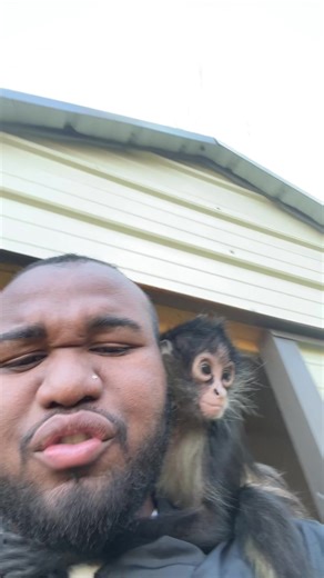 Funny Farmlife Moments: Hitting My Head 😂