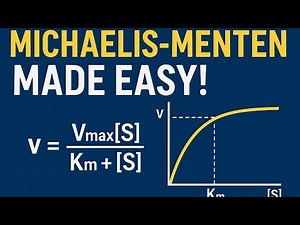 📌 Title:Michaelis-Menten Equation | Enzyme Kinetics Simplified📌