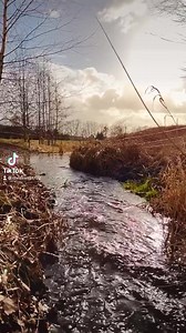 Der Weg zum Himmel muss wunderschön sein denn es ist noch nie jemand zurück gekommen 🕊🙏 | Christian Heller Photography & Art