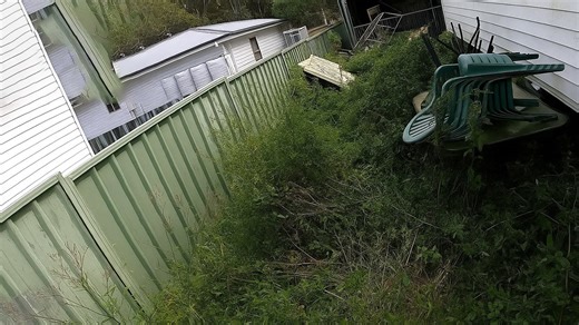 Helping a Neighbor with a Major Yard Cleanup