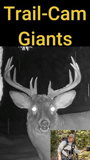 Best of Best Trail-Cam: 5 Years of Giants