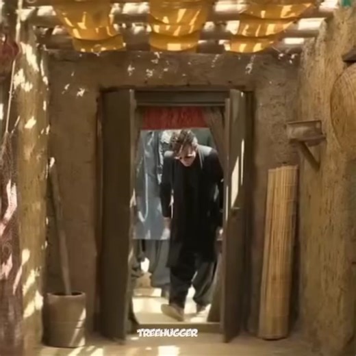 𝐓𝐫𝐞𝐞𝐞𝐇𝐮𝐠𝐠𝐞𝐫𝐫!🦅 on Instagram: "Hehe😎😋 #fyp #treehugger #trendingreels"