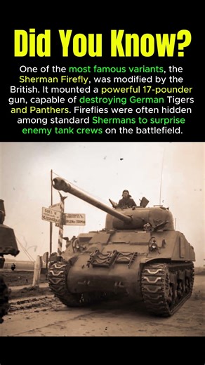 The Sherman Firefly – Killing German Tigers with Ease #ShermanFirefly #wwiitanks #tankfacts