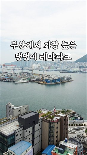 부산 남포동 롯데백화점 광복점 어반독 애견미용 스파 서비스 #남포동애견미용