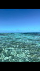 St Croix Vibes | Tropical Tiki Tours