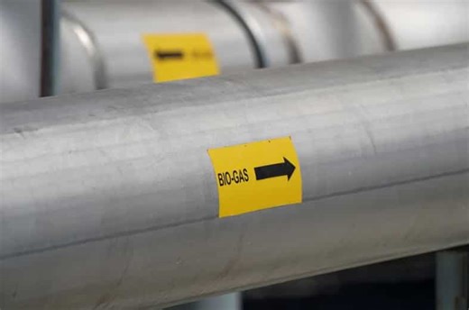 Biofuel alliance can generate opportunities worth $500 bn in next 3 years for G20 nations: Indian Biogas Association