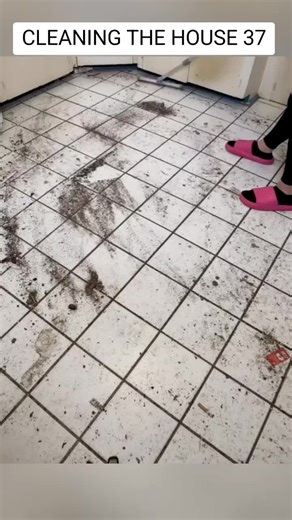 Effective House Cleaning Tips for a Spotless Home