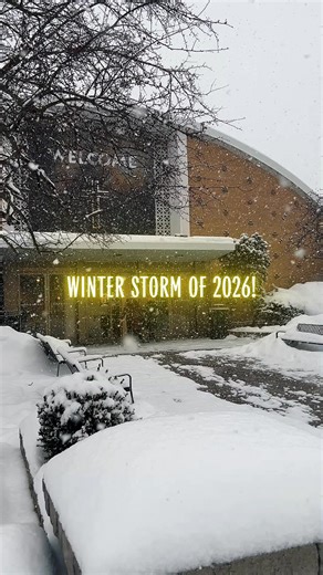 Winter Storm of 2026! ❄️ Unpopular opinion but I loved the 50cm of winter beauty that came down. What incredibly beautiful scenery! 😍 Show me your pics of the winter beauty! 📸 | Sylvia Grace Ho