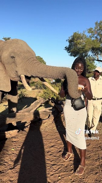 So here’s my itinerary while in Victoria Falls, Zimbabwe 🇿🇼. To be honest, I felt 3-4 nights was enough to thoroughly enjoy Vic Falls. Zimbabwe is a huge country and I definitely wish that I explored more. Vic Falls, Zimbabwe is truly a nature lovers and wild animal lovers paradise! . People are so kind and welcoming. Now here are some TIPS 1️⃣. Be sure to bring in cash( USD)for a visa at the airport, as it can be a lengthy process to pay in card. Sometimes the internet was not reliable, thus 